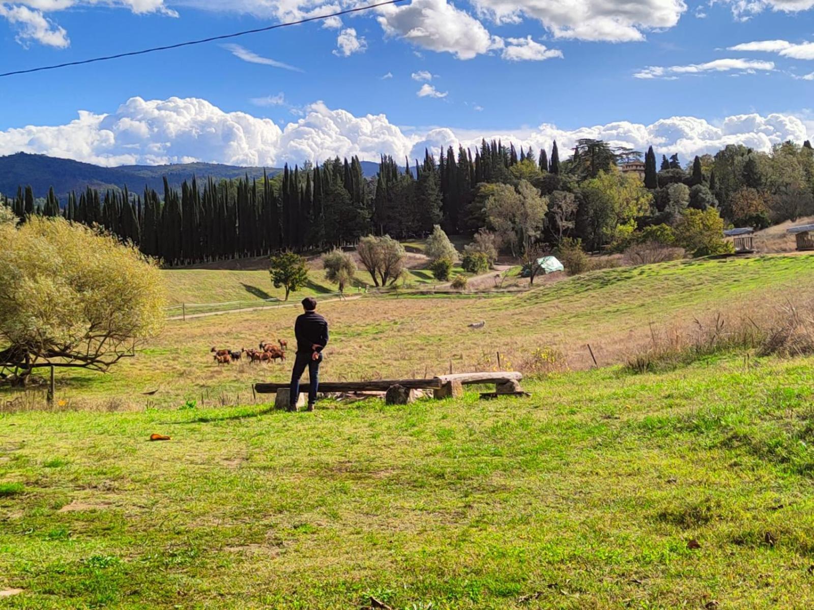 Agriturismo Podere Le Fornaci Greve in Chianti Exterior foto